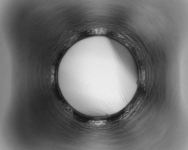 X0000096200553200802081542