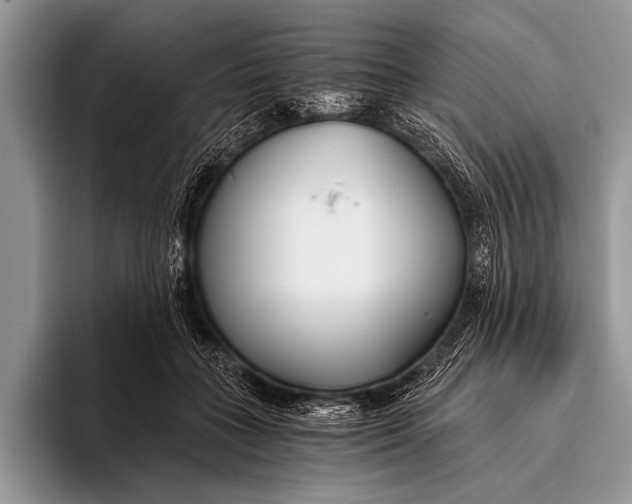 X0000096200555200802081542