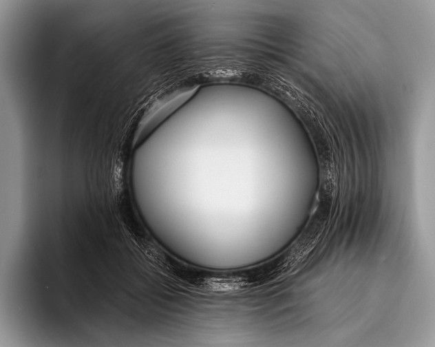 X0000096200556200802081542