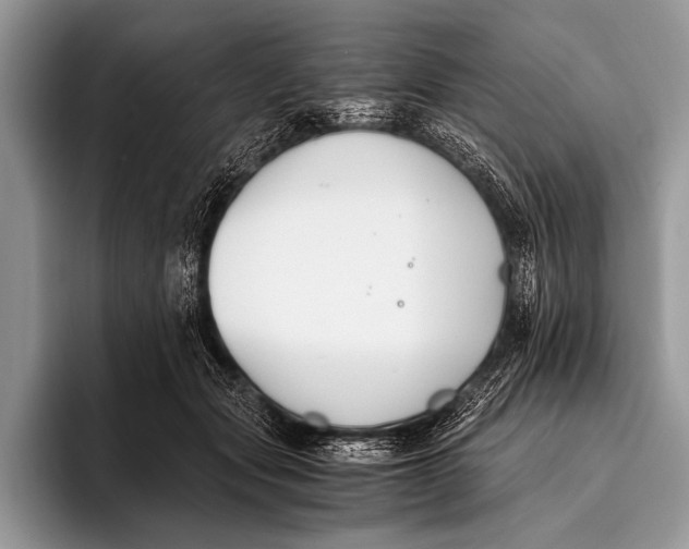 X0000096200557200802081542