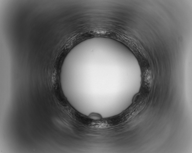 X0000096200559200802081542