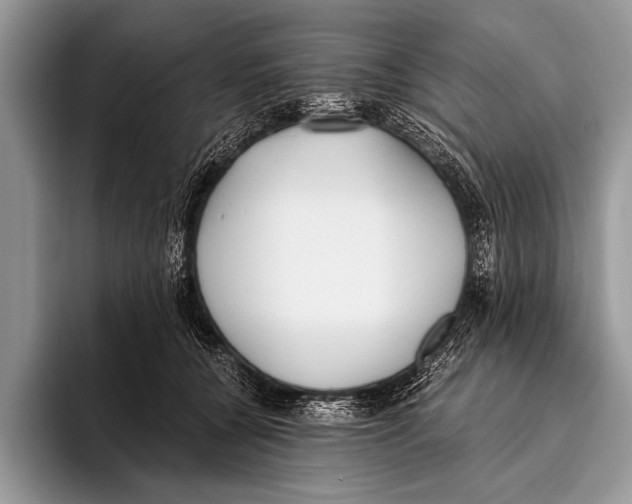 X0000096200560200802081542