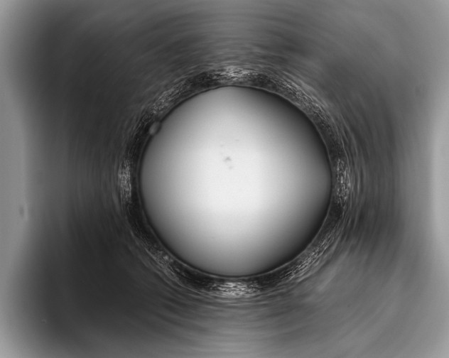 X0000096200562200802081542