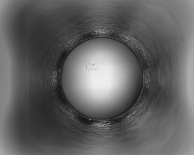 X0000096200563200802081542