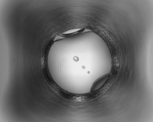 X0000096200564200802081542