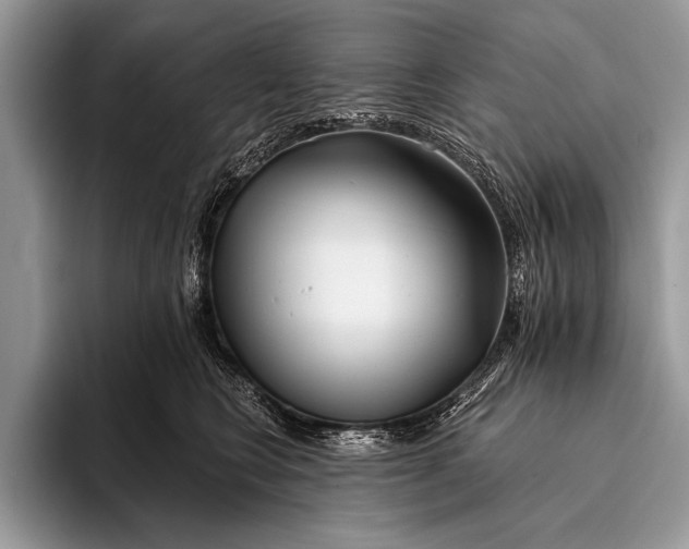 X0000096200566200802081542