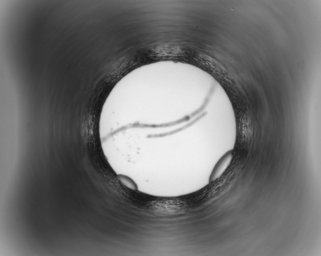 X0000096200567200802081542