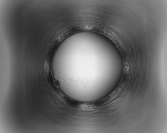 X0000096200568200802081542