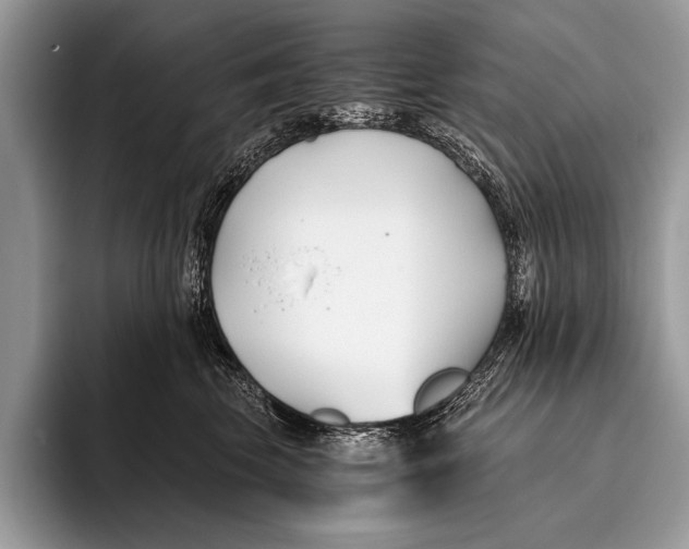 X0000096200569200802081542