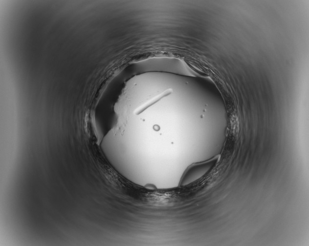 X0000096200570200802081542