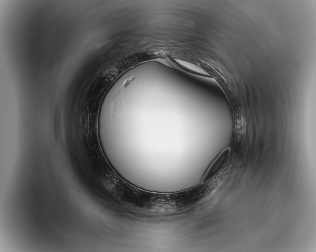 X0000096200572200802081542