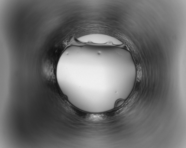 X0000096200573200802081542