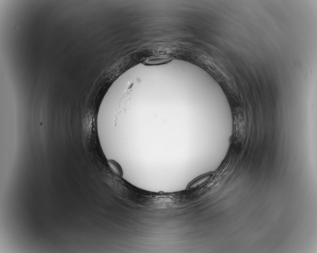 X0000096200574200802081542