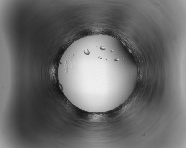 X0000096200575200802081542