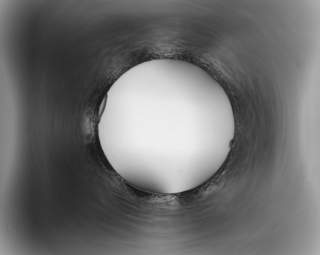 X0000096200576200802081542