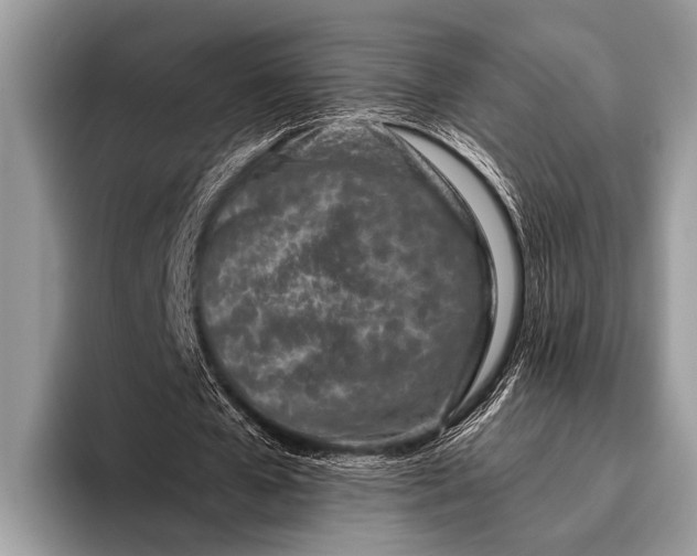 X0000096200577200802081542