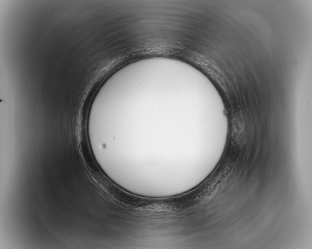 X0000096200578200802081542