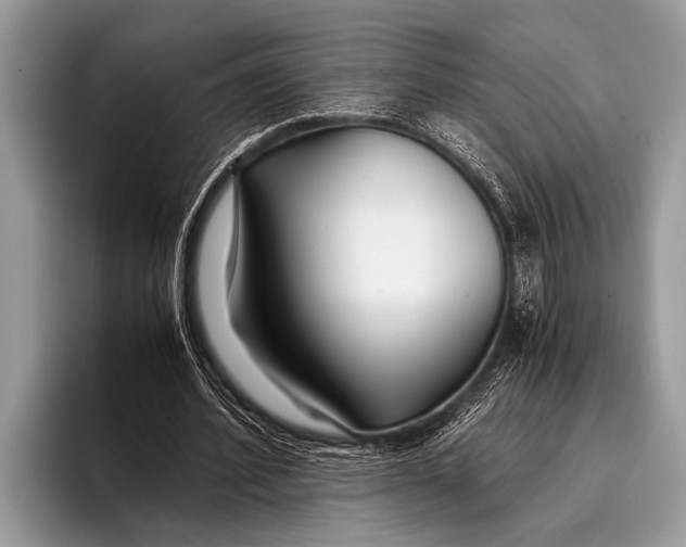 X0000096200580200802081542