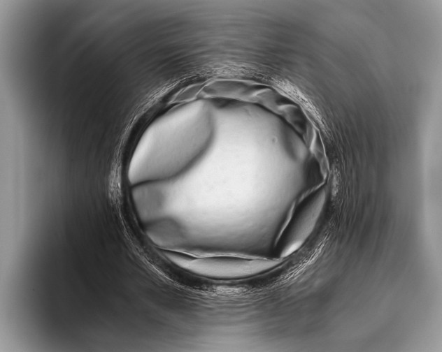 X0000096200581200802081542