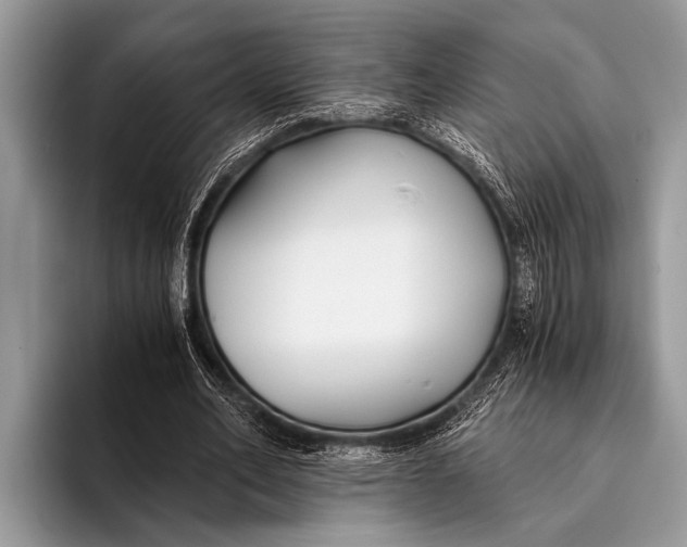 X0000096200582200802081542