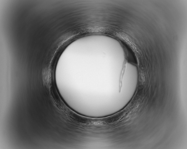 X0000096200583200802081542