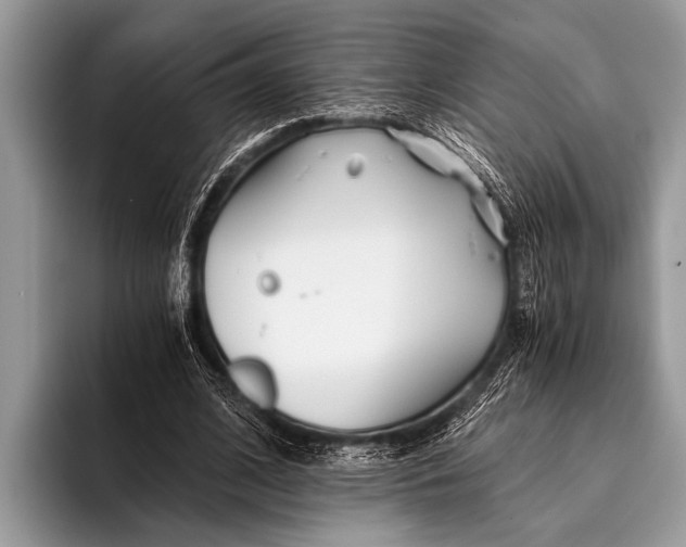 X0000096200584200802081542