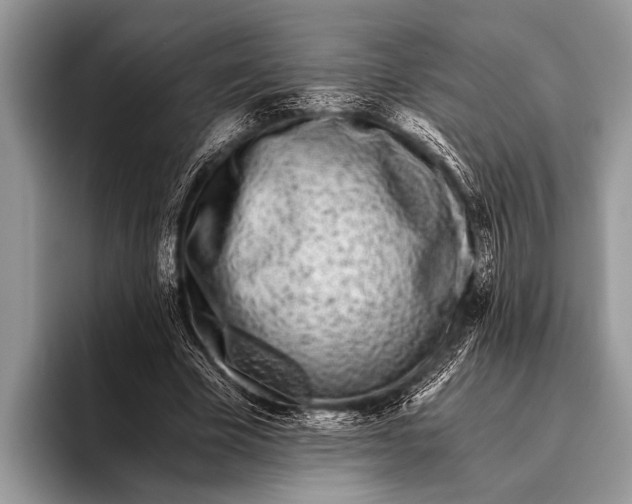 X0000096200585200802081542