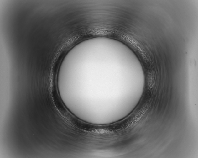 X0000096200586200802081542