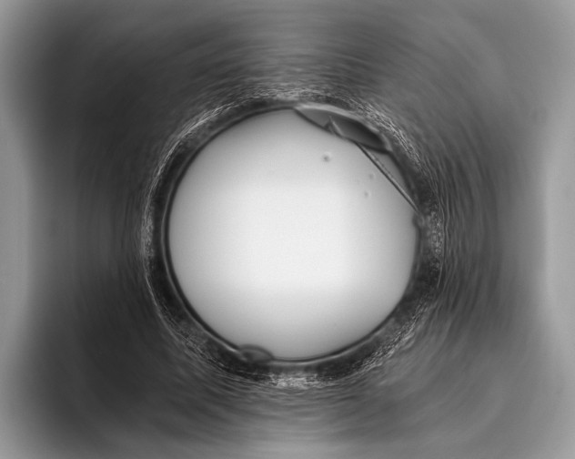 X0000096200587200802081542