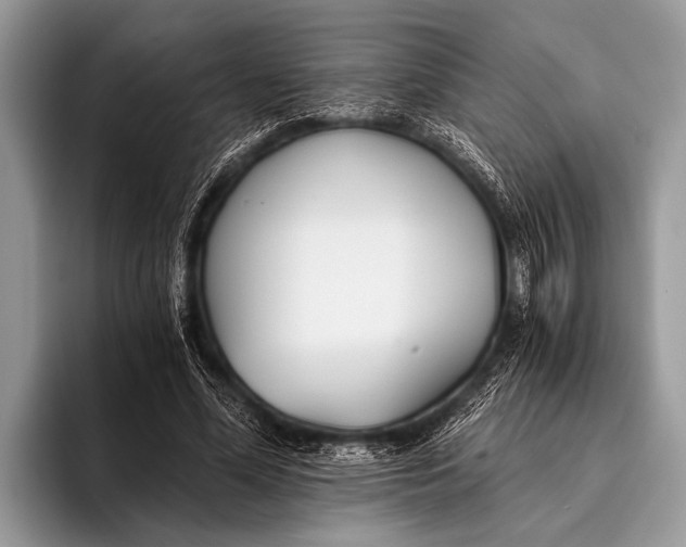 X0000096200588200802081542