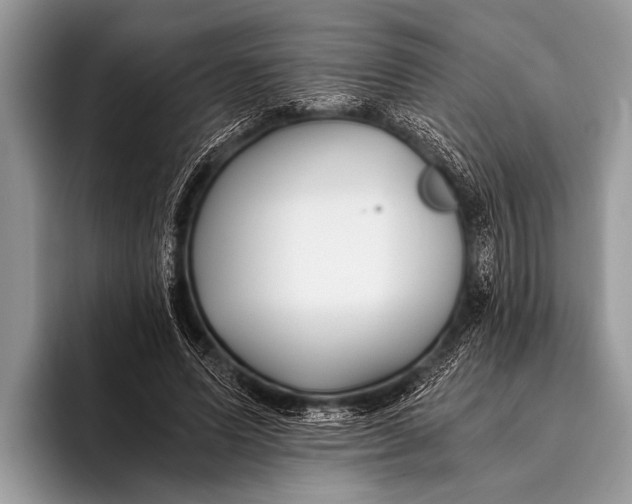 X0000096200591200802081542