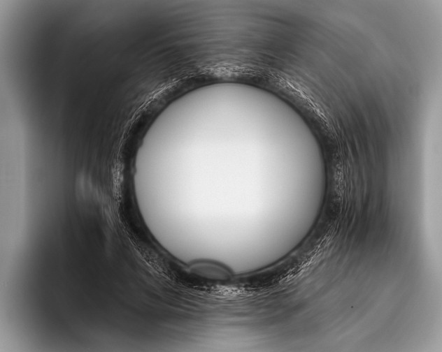 X0000096200592200802081542