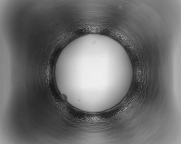 X0000096200594200802081542