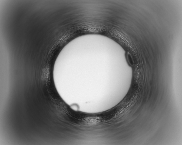 X0000096200595200802081542