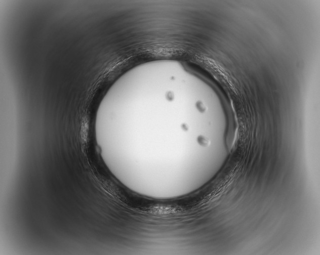 X0000096200596200802081542