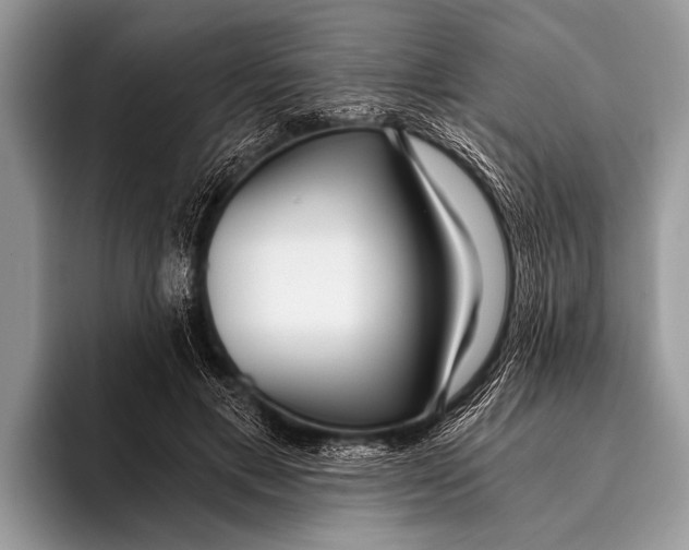 X0000096200597200802081542