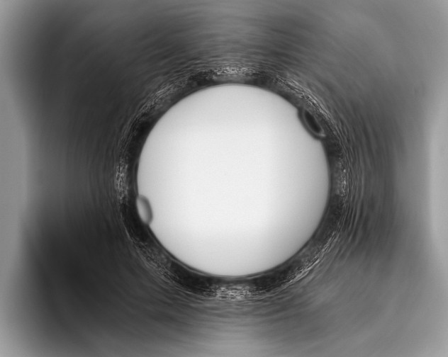 X0000096200599200802081542