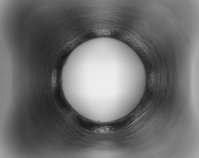 X0000096200600200802081542