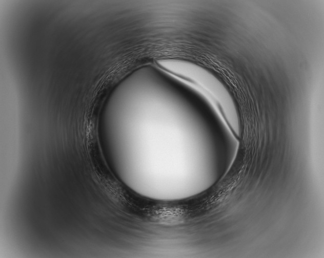 X0000096200601200802081542