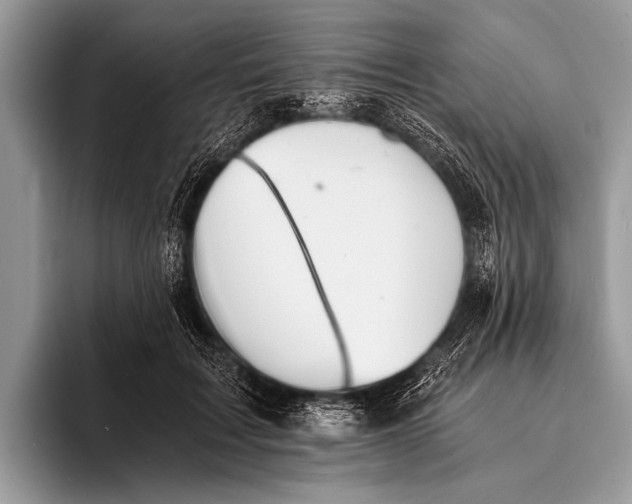 X0000096200603200802081542