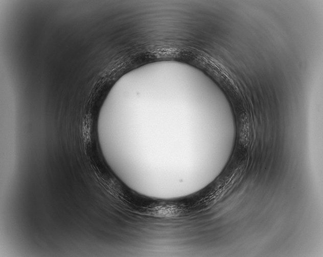 X0000096200604200802081541