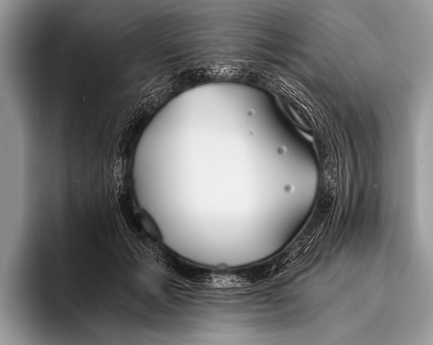 X0000096200605200802081541