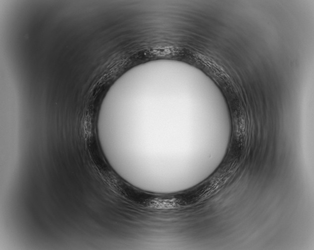 X0000096200606200802081541