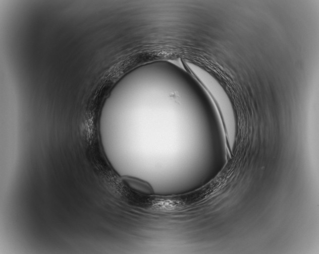 X0000096200611200802081541