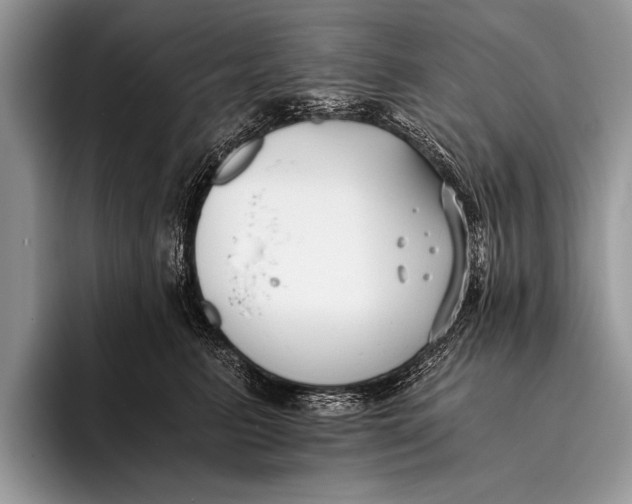 X0000096200615200802081541