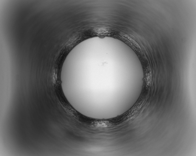 X0000096200618200802081541