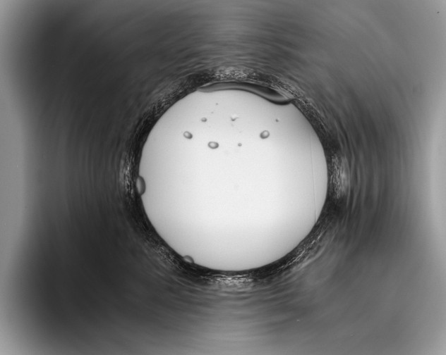 X0000096200619200802081541