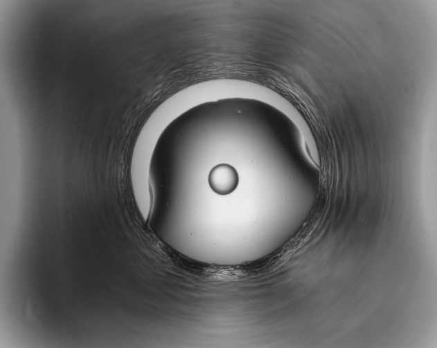 X0000096200621200802081541