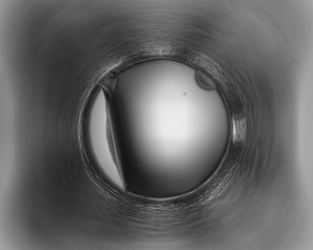 X0000096200627200802081541