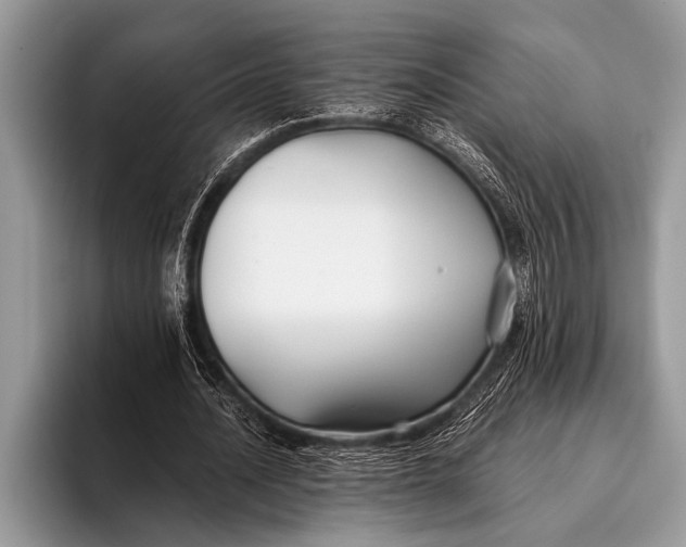 X0000096200628200802081541